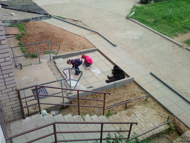 Фотография № 99250