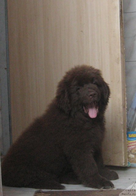 Фотография № 99273