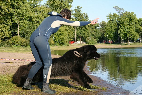 Фотография № 99280