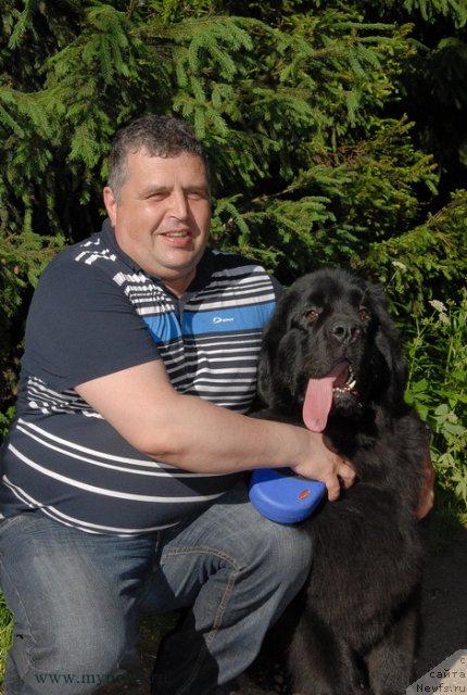 Фотография № 99319