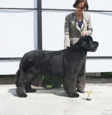 Фотография № 99343