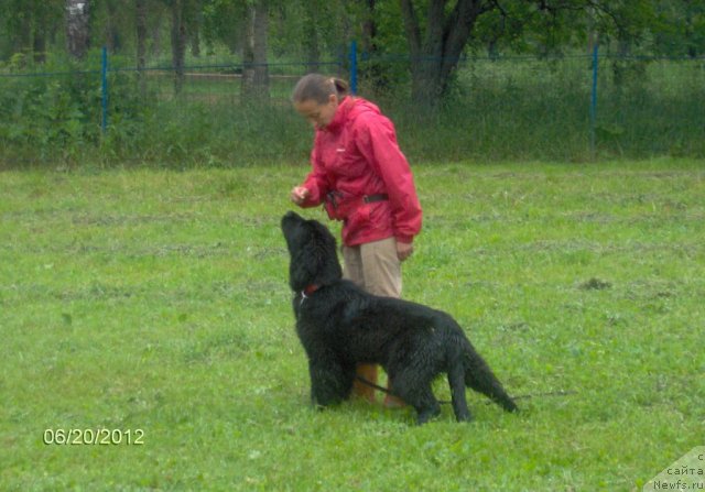 Фотография № 99368