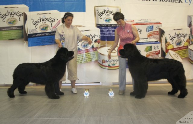 Фотография № 99391