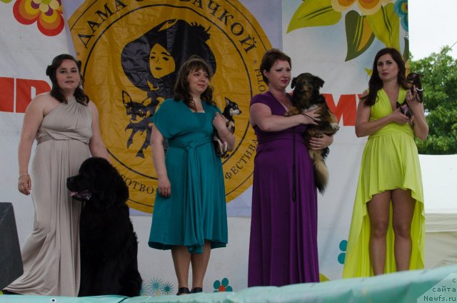 Фотография № 99418