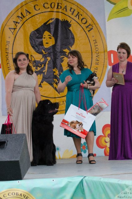 Фотография № 99419