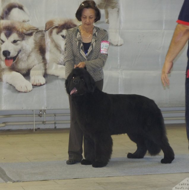 Фотография № 99442