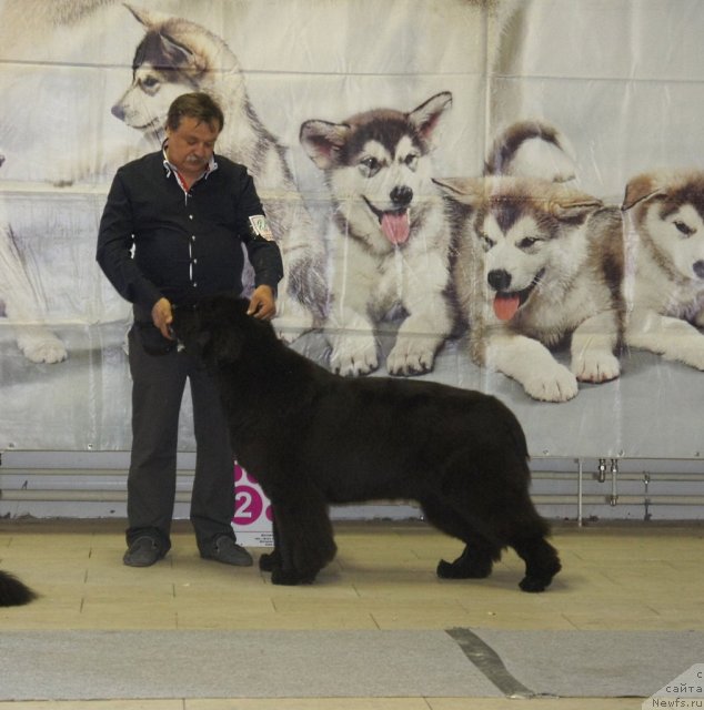 Фотография № 99444