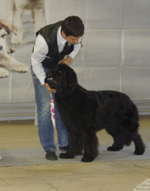 Фотография № 99446