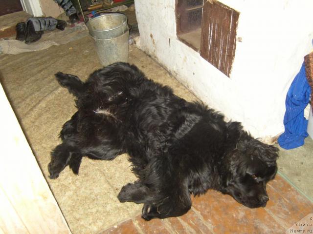 Фотография № 9945