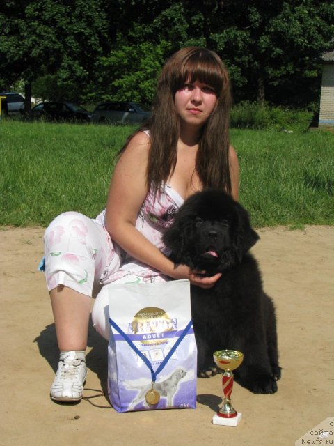 Фото: ньюфаундленд Тужур Бель, Анна Портнякова