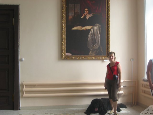 Фото: ньюфаундленд Александрия Моя Радость, Ольга Будина