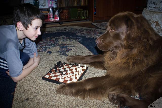 Фотография № 9955