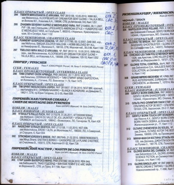 Фотография № 99569