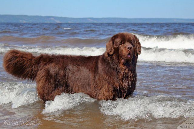 Фотография № 99624