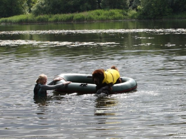 Фотография № 99627