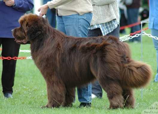 Фотография № 9963