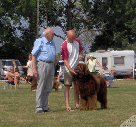 Фотография № 9964