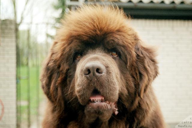 Фотография № 9965