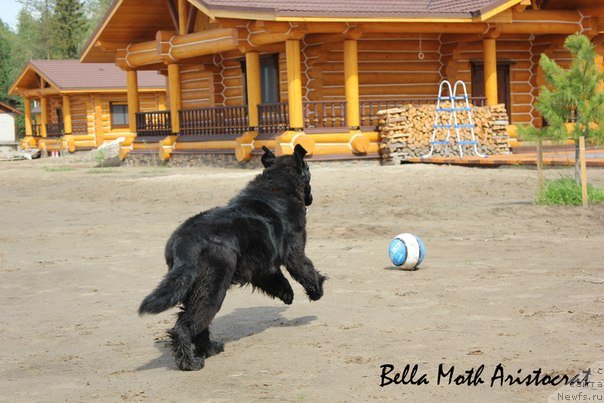 Фотография № 99653