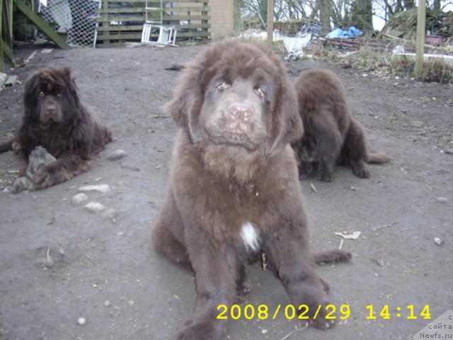 Фотография № 9966