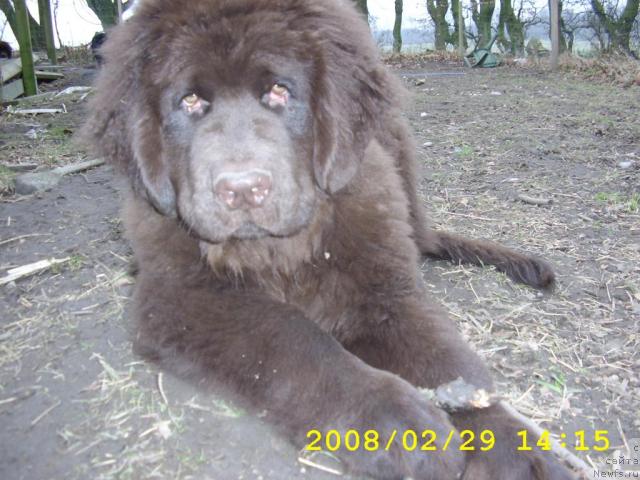 Фотография № 9967