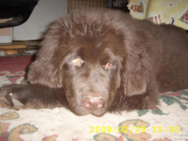 Фотография № 9968