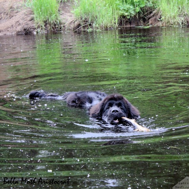 Фотография № 99696