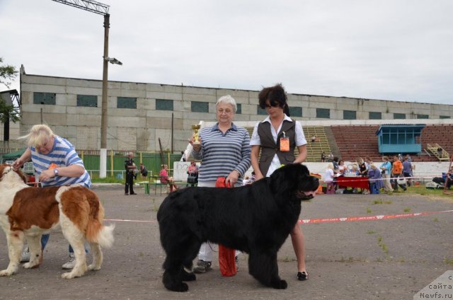 Фотография № 99734