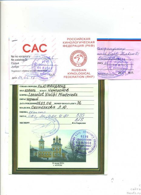 Фотография № 99739