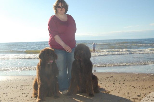 Фото: ньюфаундленд Sandra, ньюфаундленд Newettas Vanessa