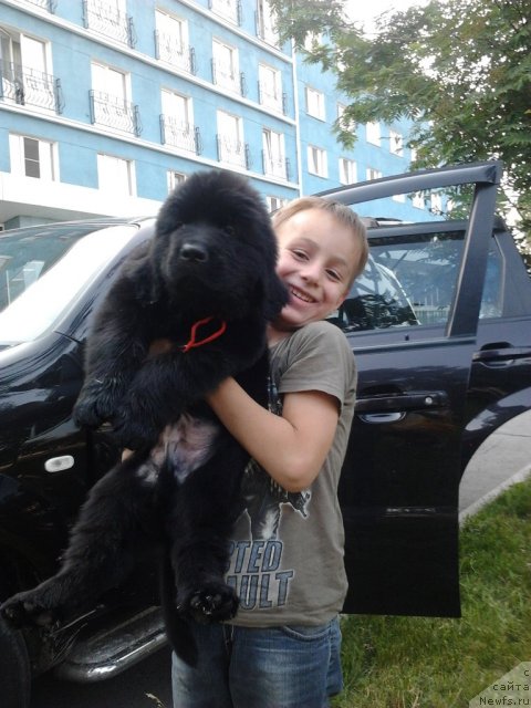 Фото: Елена Цыганова