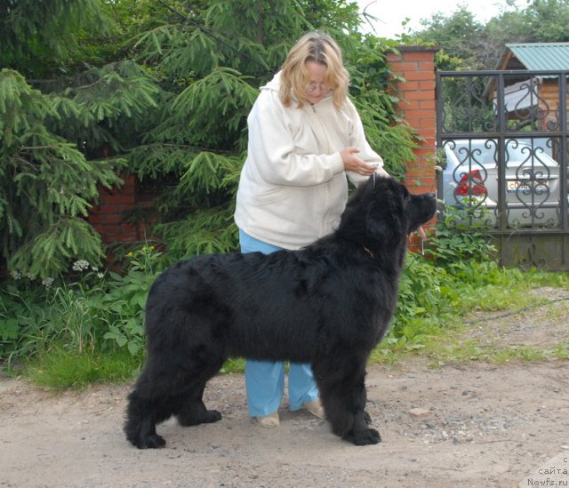 Фотография № 99788