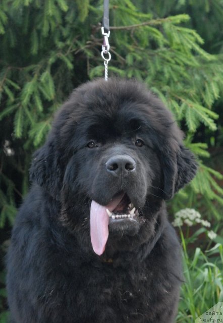 Фотография № 99791