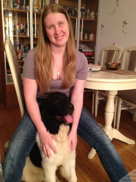 Фотография № 99803