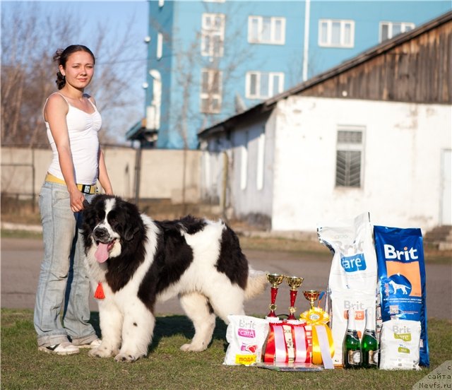 Фотография № 99812