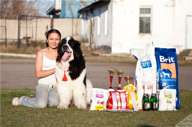 Фотография № 99813