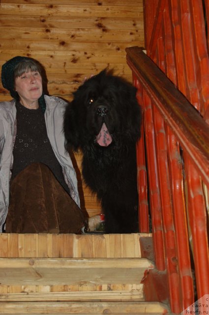 Фотография № 99836