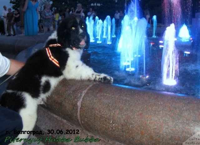 Фотография № 99837