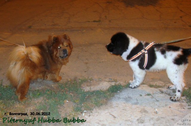 Фотография № 99839