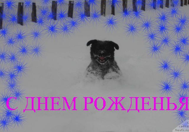 Фотография № 9986