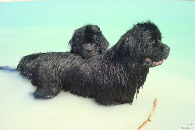 Фотография № 99994