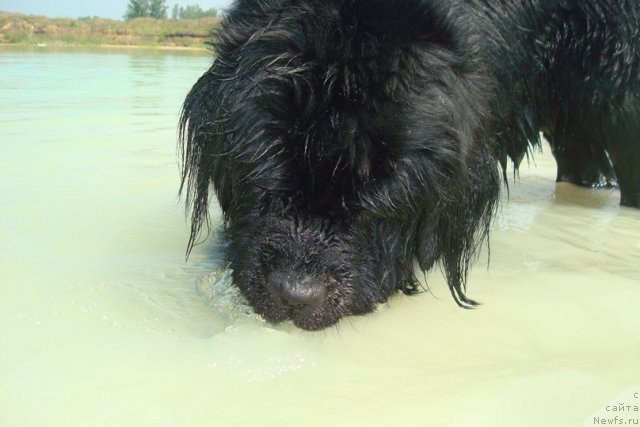 Фотография № 99995