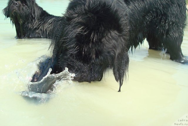 Фотография № 99996