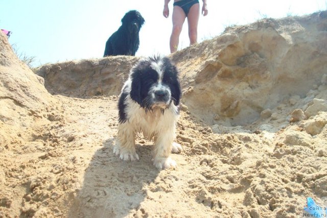 Фотография № 99997