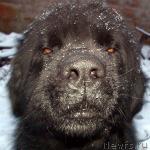 Превью фото № 10