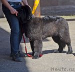 Превью фото № 100146