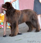 Превью фото № 100155