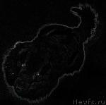 Превью фото № 10020