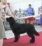 Превью фото № 100443