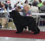 Превью фото № 100445